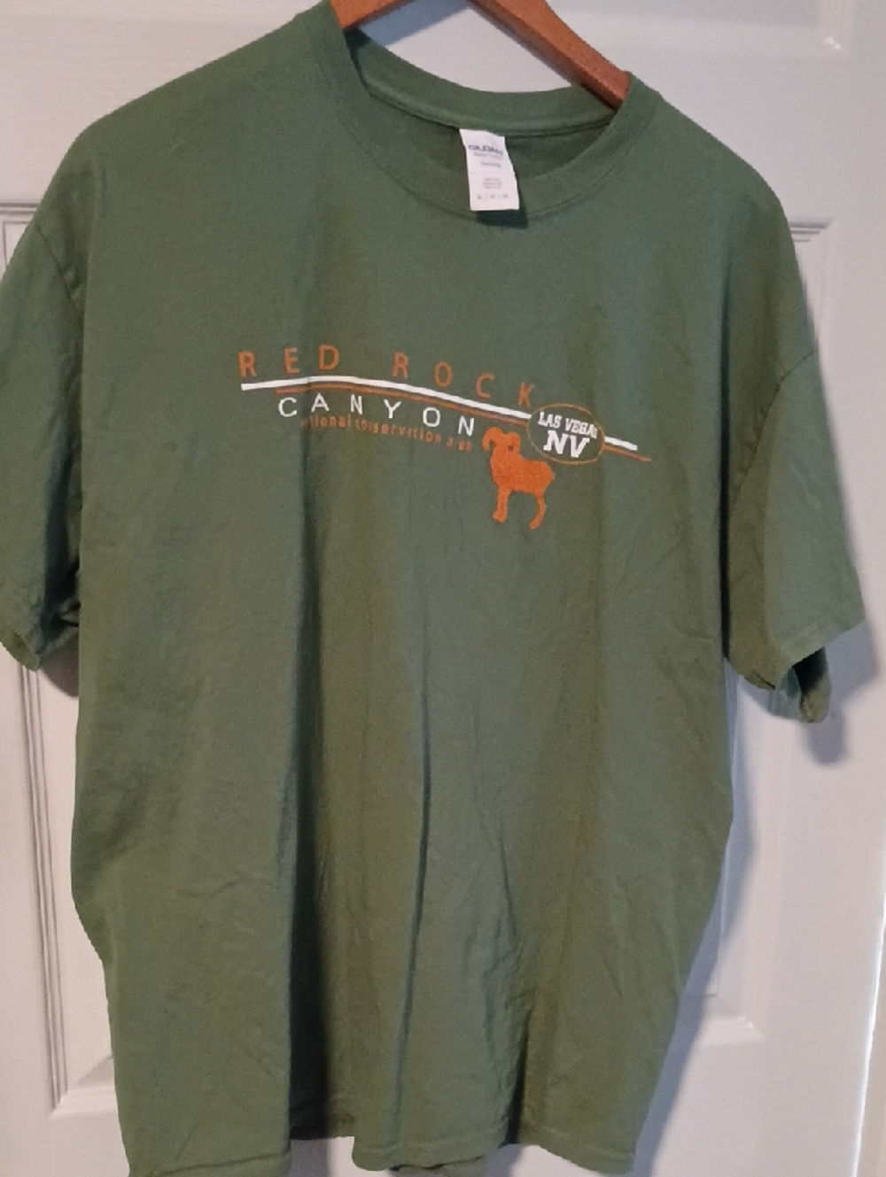 Gildan Olive Green Red Rock Canyon Graphic Tee - Men
